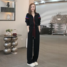 批发<b class='q'>春</b>秋款设计感小众卫衣套装女2025年<b class='q'>春</b>秋洋气上衣气质运动服两件套