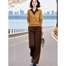 批发女装原创<b class='q'>品牌</b>旗舰店翻领假两件针织衫+半松紧腰九分裤套装秋