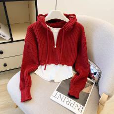 批发实拍短款连帽针织打底衫女秋冬新款内搭毛衣小个子miu美拉德上衣