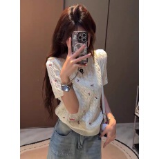 批发白色碎花刺绣短袖针织衫女2026年新款夏季洋气绝美巨好看的小上衣