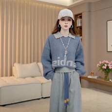 批发韩系ootd秋季穿搭一整套女装高级感蓝色字母毛衣外套<b class='q'>背心</b>两件套装