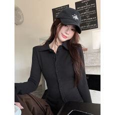 批发实拍实价 山<b class='q'>羊绒</b>长袖t恤打底衫女春秋纯色<b class='q'>开衫</b>新款衬衫领上衣