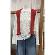 批发木耳边<b class='q'>蕾丝</b>衫