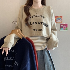 批发<b class='q'>大码</b>女装2026秋冬胖mm字母印花长袖短款毛衣叠穿两件套针织衫上衣