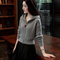 批发麻花连帽毛衣<b class='q'>开衫</b>秋冬季新款慵懒风软糯内搭打底针织外套上衣