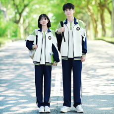 批发<b class='q'>大</b>量有货 情侣装2026秋装卫衣外套学生班服校服运动会三件套套装