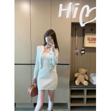 批发实拍2025秋款圆领长袖开衫+U领抹胸无袖<b class='q'>包臀</b>连衣裙