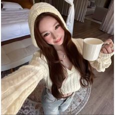 批发韩系温柔连帽短毛衣针织衫女秋<b class='q'>冬</b>装独特绝美修身上衣高级感打底衫