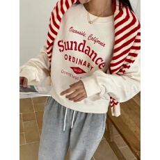 批发<b class='q'>韩国</b>新款<b class='q'>卫衣</b>华棉复合牛奶丝320克银狐绒420克圆领宽松印花中长款