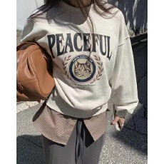 批发<b class='q'>韩国</b>新款<b class='q'>卫衣</b>华棉复合牛奶丝320克银狐绒420克圆领宽松印花中长款