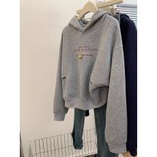 批发韩式休闲灰色连帽卫衣女2025秋冬新款宽松套头小个子加绒长袖上衣