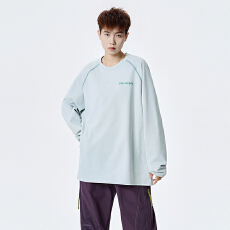 批发实拍2025秋季新款长袖T恤男重磅双面迪桑麻宽松休闲圆领潮牌套头t