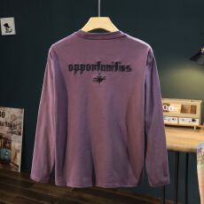 批发实拍2025秋季新款重工刺绣长袖<b class='q'>t</b><b class='q'>恤</b>男潮流百搭宽松纯棉<b class='q'>大码</b>体恤男