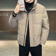 批发实拍2025冬季新款<b class='q'>羽绒服</b><b class='q'>男</b>新国标白鸭绒百搭立领加厚保暖外套