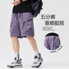 批发<b class='q'>实拍</b>夏季新款<b class='q'>户外</b>山系休闲冰丝工装短裤男百搭高级五分大码运动裤
