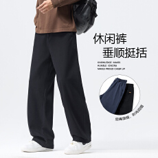 批发实拍<b class='q'>秋</b>冬新款轻商务直筒休闲裤男宽松百搭潮流半松紧腰通勤长裤