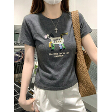 批发官图1*1纯棉螺纹210克短袖<b class='q'>t</b><b class='q'>恤</b>女夏新款韩系刺绣正肩圆领上衣