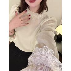 批发韩系蕾丝花边领长袖<b class='q'>衬衫</b>女2026新款春季<b class='q'>衬衣</b>高级洋气内搭气质上衣