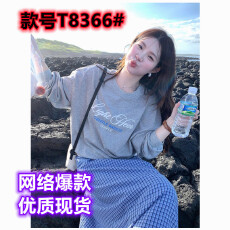 批发美式灰色字母卫衣女早秋2025新款爆款<b class='q'>时尚</b>洋气慵懒风巨好看的上衣