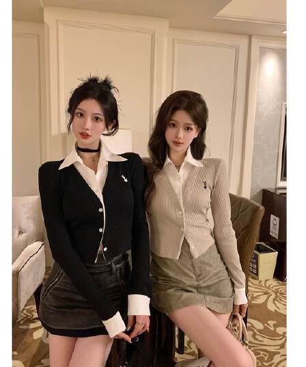 원본 원단 POLO 칼라 자수 긴팔 여성 가을 디자인 센스 셔츠 패치워크 쇼트 스타일 페이크 레이어드 맨위