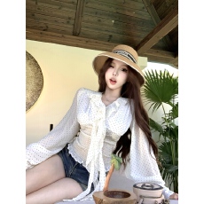 批发实拍 气质优雅<b class='q'>波点</b><b class='q'>雪纺</b><b class='q'>衫</b>春夏新款飘带V领收腰显瘦长袖上衣