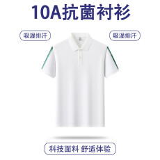 跨境男士新款纯色POLO衫夏季薄款百搭翻领商务T恤男装短袖上衣