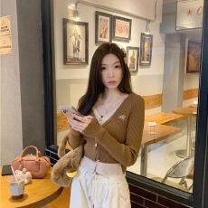 批发甜辣妹风针织衫女秋季韩版2025新款修身显瘦字母<b class='q'>刺绣</b>外搭长袖开衫
