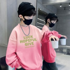 批发男<b class='q'>童</b><b class='q'>卫衣</b><b class='q'>春秋</b>款2025新款儿<b class='q'>童</b>秋装<b class='q'>中大</b><b class='q'>童</b>炸街韩版上衣帅洋气休闲潮