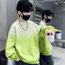 批发男<b class='q'>童</b><b class='q'>卫衣</b><b class='q'>春秋</b>款2025新款儿<b class='q'>童</b>秋装<b class='q'>中大</b><b class='q'>童</b>炸街韩版上衣帅洋气休闲潮
