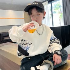 批发男童<b class='q'>卫衣</b>春秋款2025新款<b class='q'>儿童</b>秋装中大童炸街韩版上衣帅洋气休闲潮