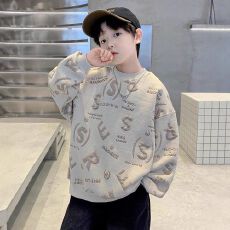 批发<b class='q'>男</b><b class='q'>童</b>卫衣春秋款2025新款秋装儿童帅气时髦上衣<b class='q'>中大</b>童男孩炸街痞帅