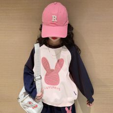 批发<b class='q'>女</b><b class='q'>童</b><b class='q'>卫衣</b>秋冬款2025新款儿童圆领上衣炸街秋装大童初中生时髦衣服