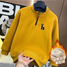 批发纯棉华棉儿童加绒外套2025<b class='q'>男童</b>拉链<b class='q'>潮</b>牌外套宝宝高领刺绣上衣