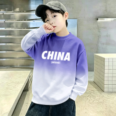 批发儿童装男童卫衣2026新款中大童帅气男孩上衣秋冬加绒款衣服秋季潮