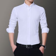 批发纯棉新款长袖衬衫男士<b class='q'>商务</b>休闲正装夏季修身韩版潮流时尚上班衬衣