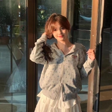 批发灰色美式刺绣碎花连帽拉链卫衣<b class='q'>外套</b>女装早春短款宽松<b class='q'>修身</b>休闲上衣