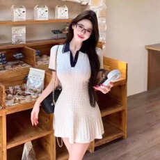 批发法式复古polo领连衣裙女夏季新款设计感小众收腰显瘦<b class='q'>甜美</b>气质短裙