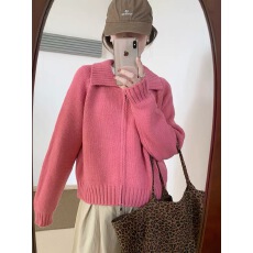 批发高级感宽松双拉链翻领毛衣2025秋季新款韩版百搭长袖<b class='q'>针织</b>上衣外套