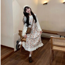 批发假两件印花<b class='q'>连衣裙</b>女夏季2026新款宽松甜美荷叶边长袖长裙子拼接款