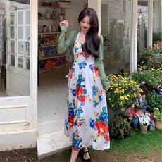 批发超仙森系甜美两件套2026新款挂脖印花<b class='q'>连衣裙</b>长袖短款开衫外套女