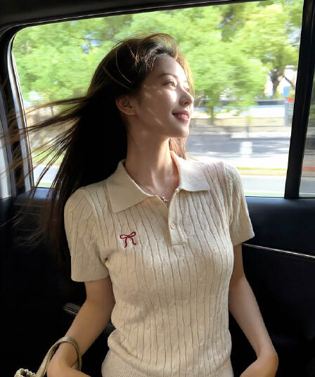 프랑스식 polo 폴로 칼라 꽈배기 니트 반팔 여성 여름 ins 고급 센스 나비 매듭 자수 티셔츠 만나는 맨위
