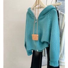 批发蓝色拉链连帽毛衣外套女秋冬2025新款冬季短款针织开衫上衣加厚冬