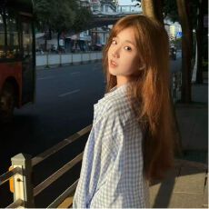 批发腊肠狗刺绣<b class='q'>格子</b><b class='q'>衬衫女</b>2025春秋时尚情侣宽松百搭小众叠穿上衣外套