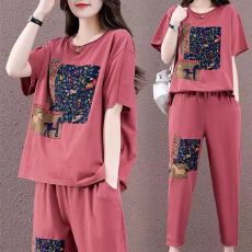 批发休闲时尚套装女装新款洋气减龄大码炸街运动服两件套