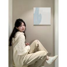 批发秋<b class='q'>冬</b>复古松弛北欧风麻花软糯亨利领连帽绞花套头针织衫毛衣女插袋