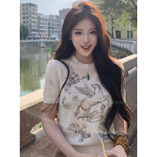 批发新款春<b class='q'>秋</b>毛衣女款高级感刺绣宽松针织衫内搭可外穿百搭