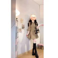 批发法式复古翻领<b class='q'>衬衫</b>连衣裙女秋冬赫本风polo短裙收腰内搭打底气质裙