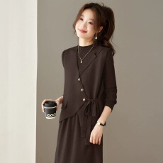 批发针织显瘦半高领连衣裙女过膝秋冬季新款长袖中领短款马甲两件套装