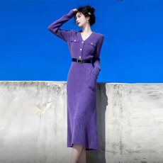 批发韩国新款时尚休闲通勤简约气质<b class='q'>连衣裙</b>法式气质紫色V领针织<b class='q'>连衣裙</b>