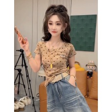 批发设计感晕染波点短袖<b class='q'>T</b><b class='q'>恤</b>女2026夏季新款独特漂亮巨好看修身上衣潮
